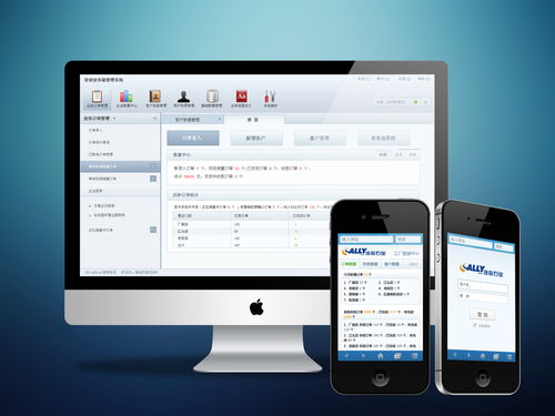 軟件系統概述及其組成部分